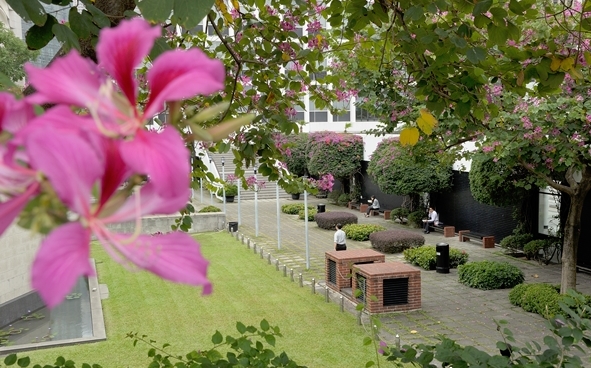 City Hall Memorial Garden - an oasis of peace in the midst of Central's hectic financial district